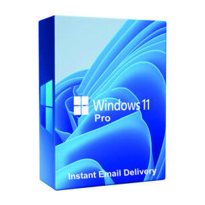 Installer Windows 11 Professional