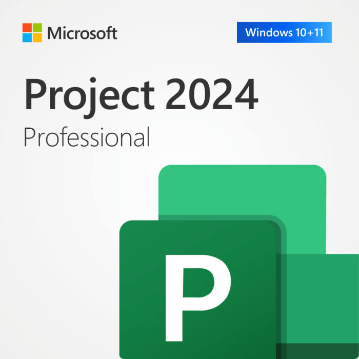 Microsoft Project 2024 Pro Cheap Product License Key