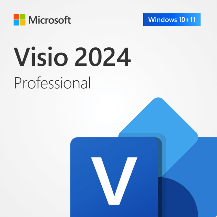 Microsoft Visio 2024 Pro Cheap Product License Key